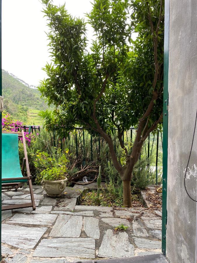Cottage La Terrazza Levanto Exterior foto