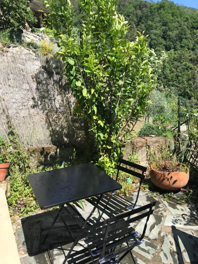 Cottage La Terrazza Levanto Exterior foto