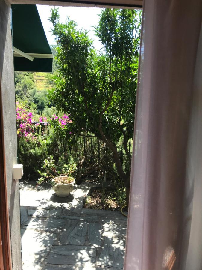 Cottage La Terrazza Levanto Exterior foto